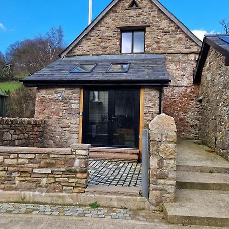 Vila The Old Pig Sty Llanellen Exteriér fotografie
