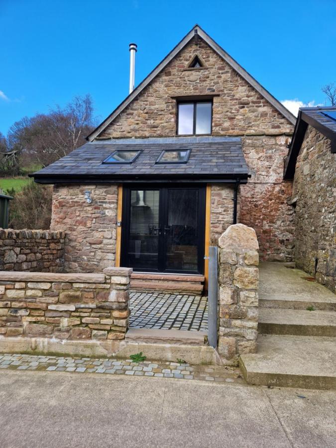 Vila The Old Pig Sty Llanellen Exteriér fotografie